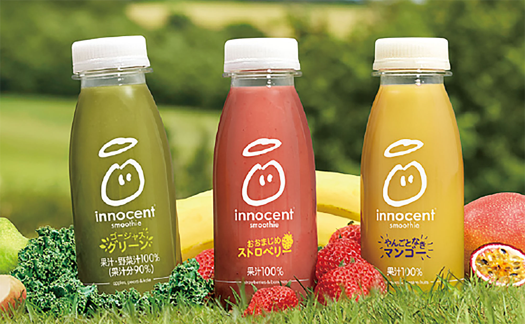 innocent-traction-inc